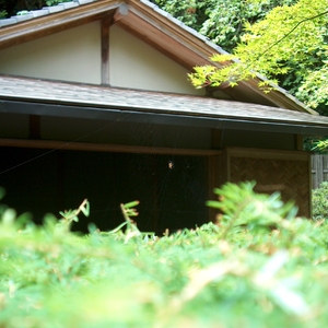 HPIM0297.jpg