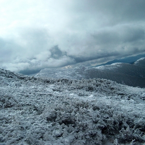 HPIM0386.jpg