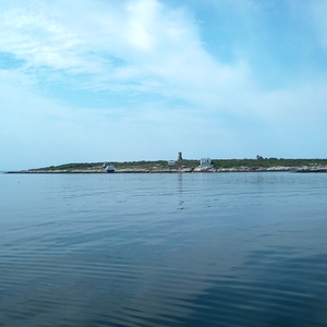 HPIM0016.jpg