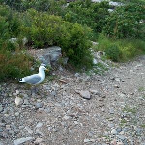 HPIM0044.jpg