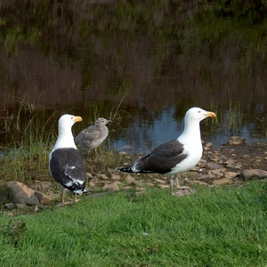 HPIM0049.jpg