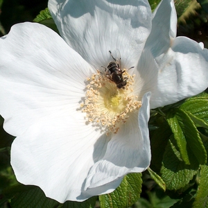 HPIM0053.jpg