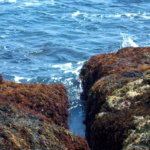 HPIM0055.jpg