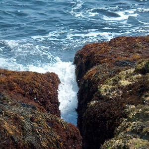 HPIM0056.jpg
