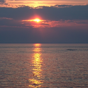 HPIM0065.jpg