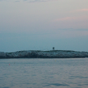 HPIM0079.jpg