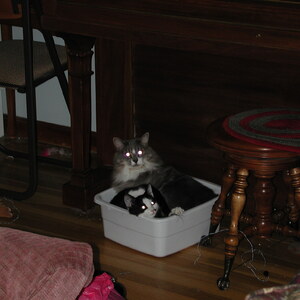 dscn1117.jpg