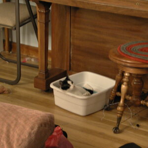 dscn1118.jpg