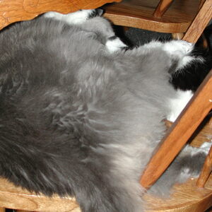 dscn1122.jpg