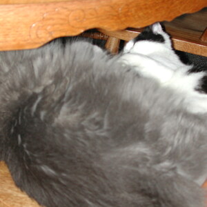 dscn1123.jpg