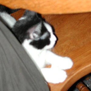 dscn1125.jpg