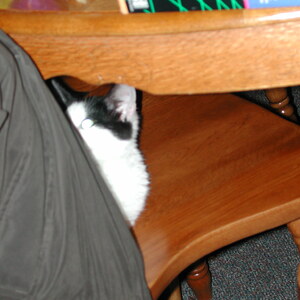 dscn1126.jpg