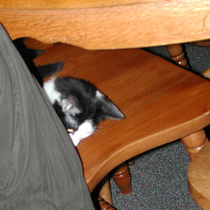 dscn1127.jpg