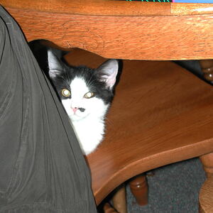 dscn1128.jpg