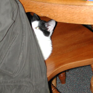 dscn1129.jpg