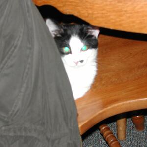 dscn1130.jpg