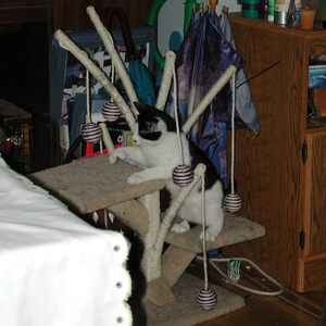 dscn1131.jpg