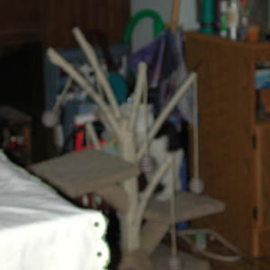 dscn1132.jpg