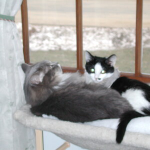 dscn1133.jpg