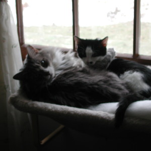 dscn1134.jpg