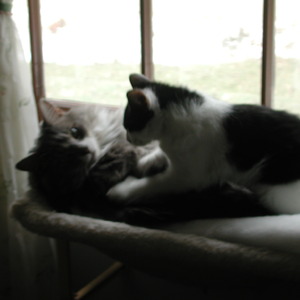 dscn1135.jpg