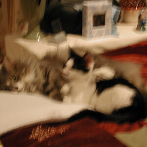 dscn1136.jpg
