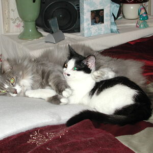 dscn1138.jpg