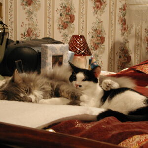 dscn1139.jpg