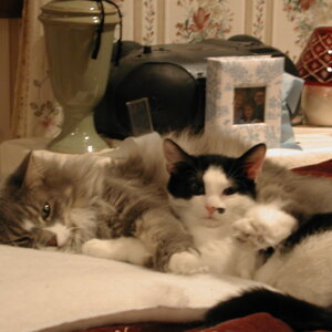 dscn1140.jpg