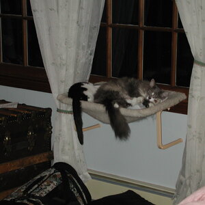 dscn1142.jpg