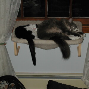dscn1144.jpg