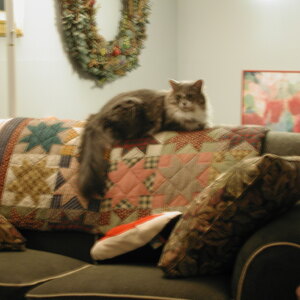 dscn1108.jpg