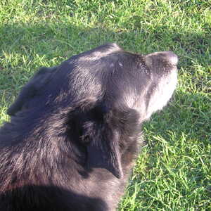 2_PICT0067.jpg