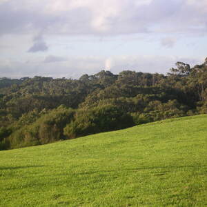 2_PICT0072.jpg