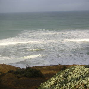 2_PICT0094.jpg