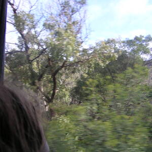 2_PICT0106.jpg