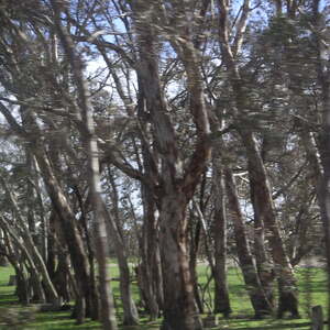 2_PICT0110.jpg
