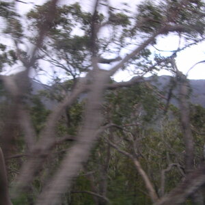 2_PICT0112.jpg