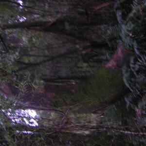 3_PICT0003.jpg