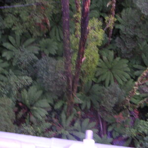 3_PICT0010.jpg