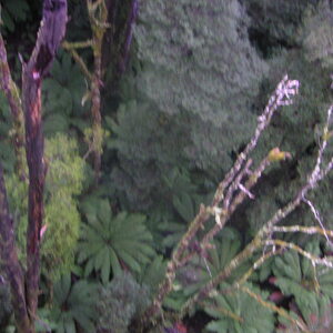 3_PICT0011.jpg