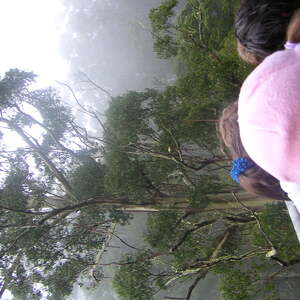 3_PICT0012.jpg