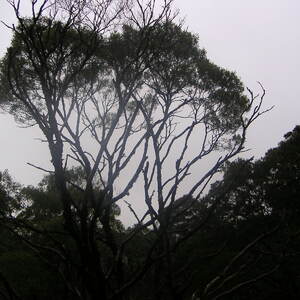 3_PICT0013.jpg