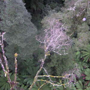 3_PICT0014.jpg