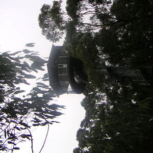 3_PICT0016.jpg