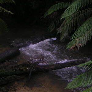 3_PICT0019.jpg
