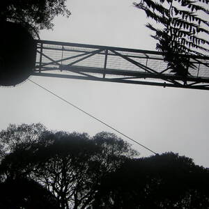 3_PICT0020.jpg
