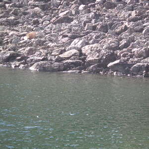 3_PICT0037.jpg