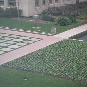 3_PICT0089.jpg