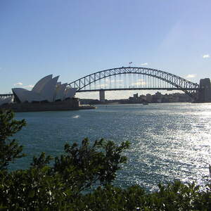 3_PICT0135.jpg